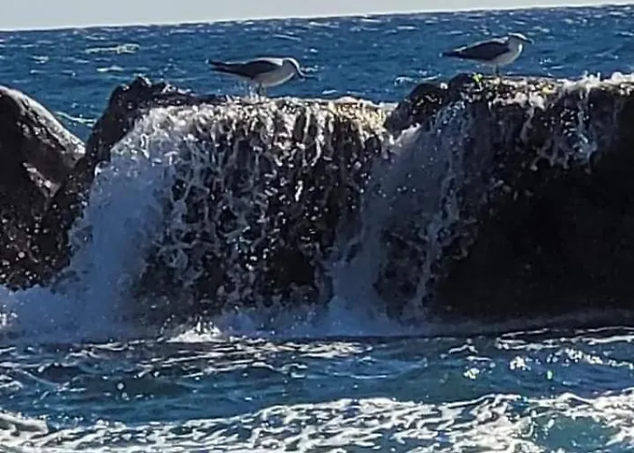 Apartmán Magic Saint-Raphaël